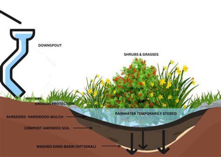 How do you make a small rain garden