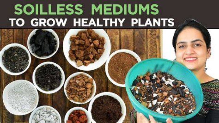 How do you make a soilless growing medium