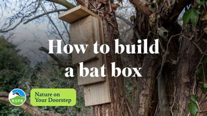 How do you make bat guano