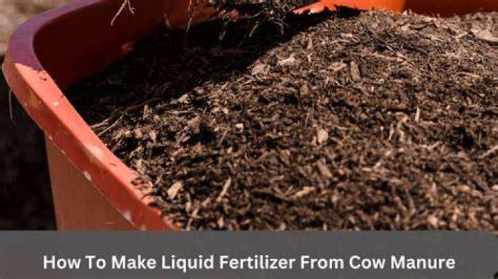 How do you make mushroom fertilizer