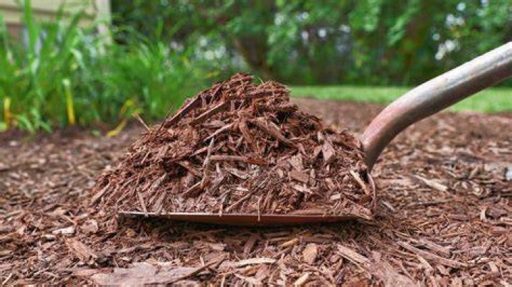 How do you mulch a garden path