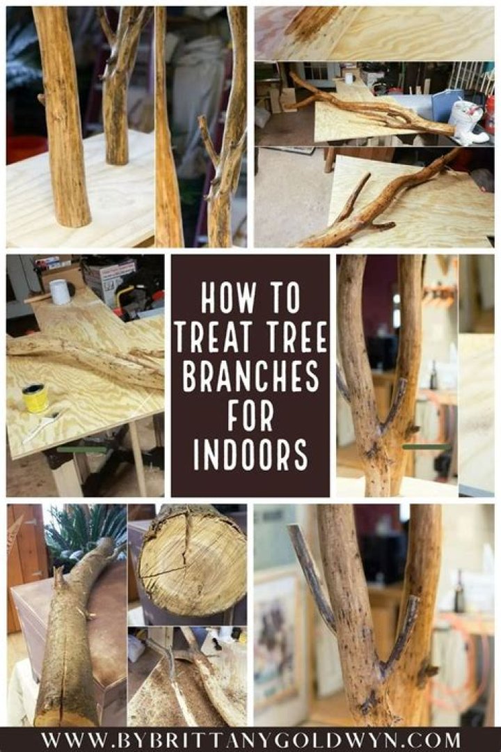 How do you prepare tree branches indoors