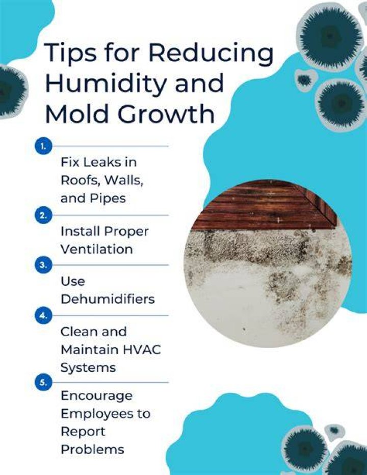 How do you prevent mold in buildings