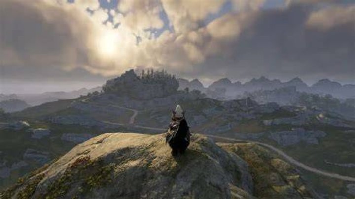 How do you propagate mountain ashes