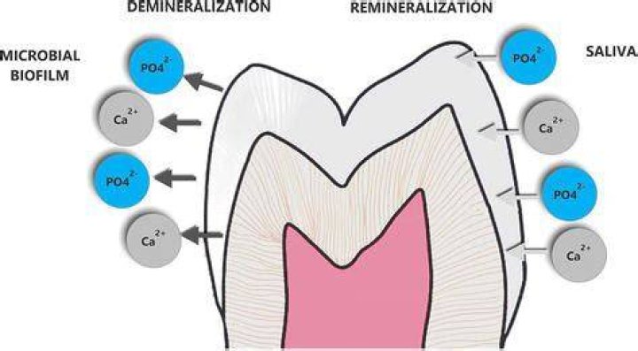 How do you Remineralize soil
