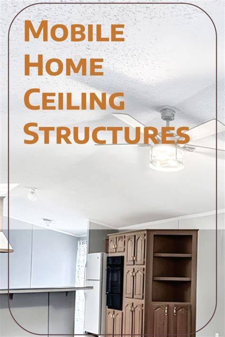 How do you remove mold from a mobile home ceiling