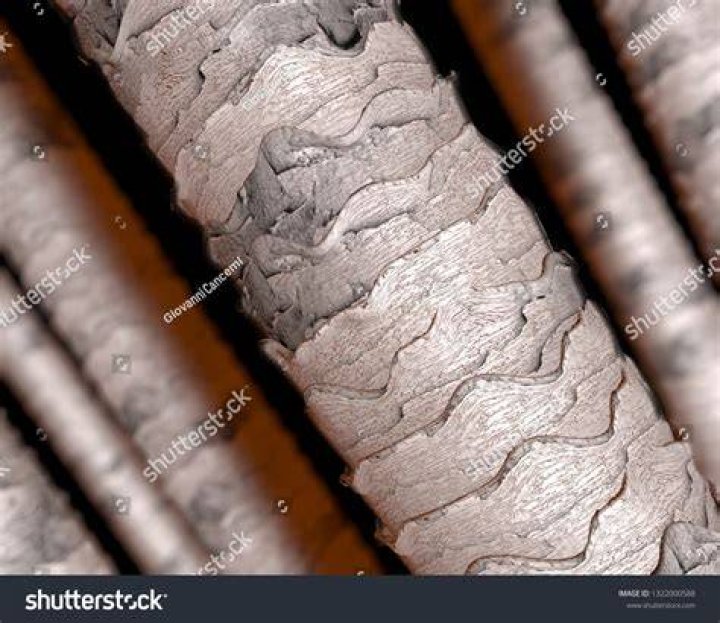 How do you see hair under a microscope