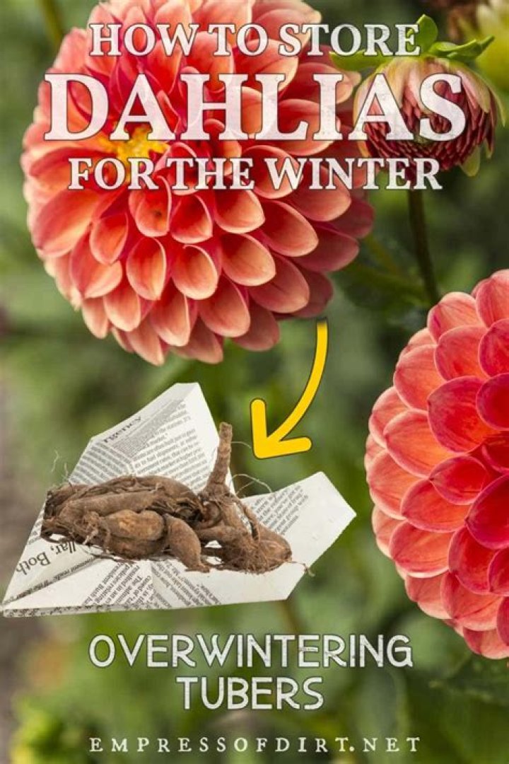 How do you store winter melon