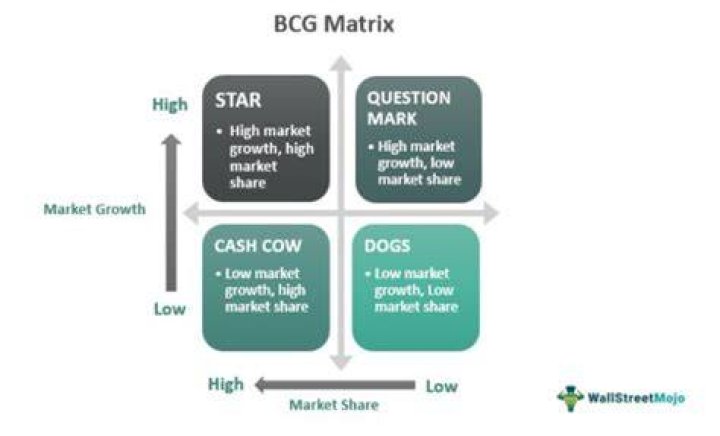 How do you use the BCG matrix