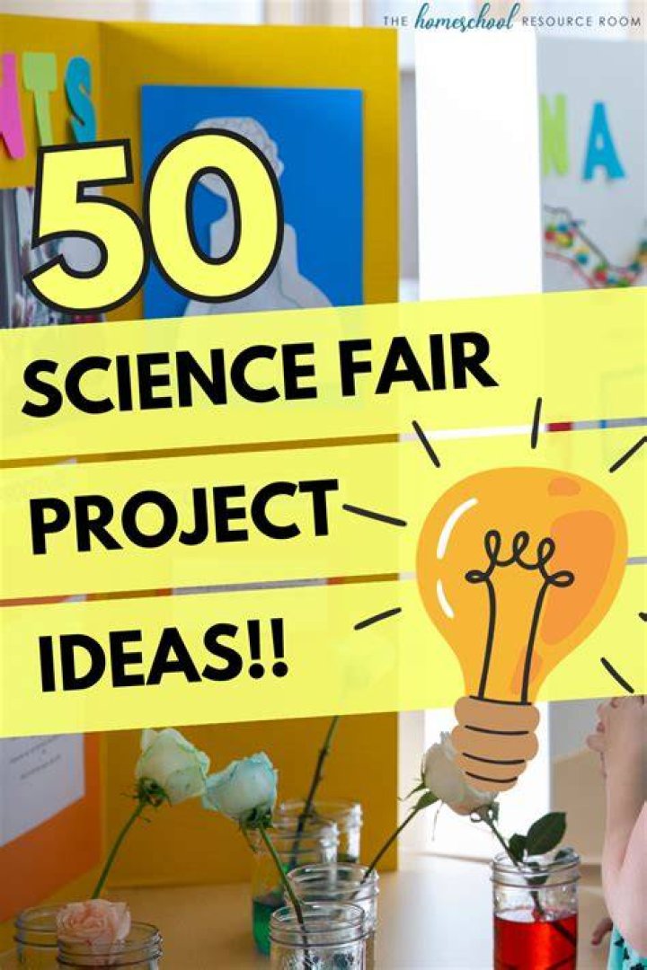 How do you write a logbook for a science fair project