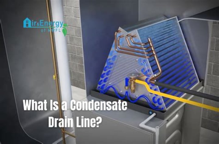 How does a condensate evaporator work