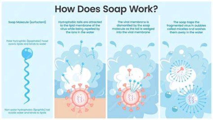 How does a soap worm work
