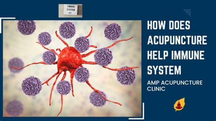 How does acupuncture help immune system