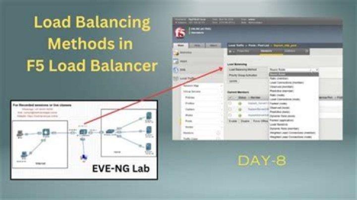 How does an Elastic Load Balancer enable higher fault tolerance level