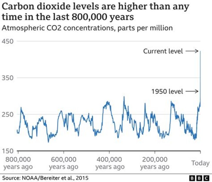 How does carbon dioxide affect breathing