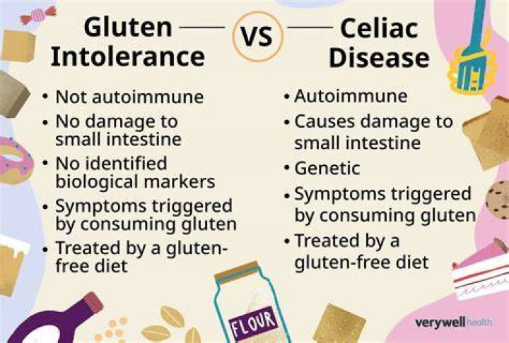 How does gluten affect baking
