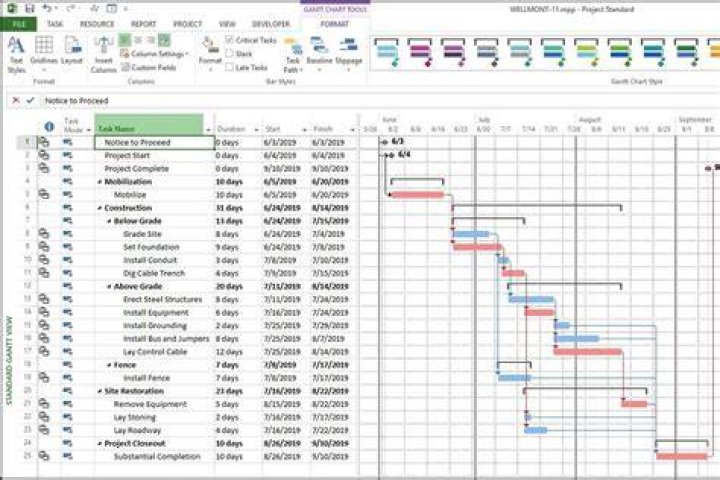 How does MS Project show risk