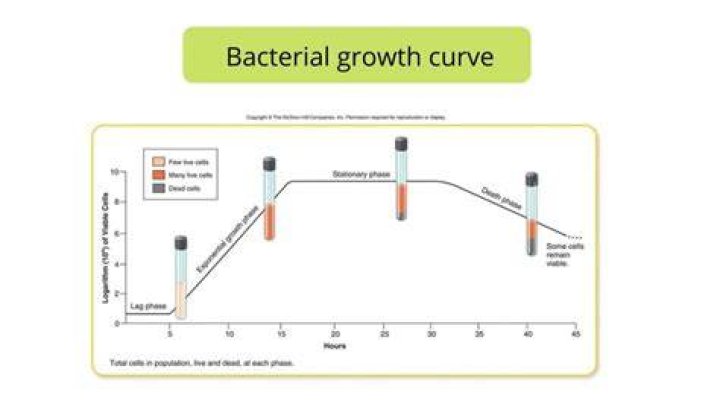 How does sugar affect bacterial growth