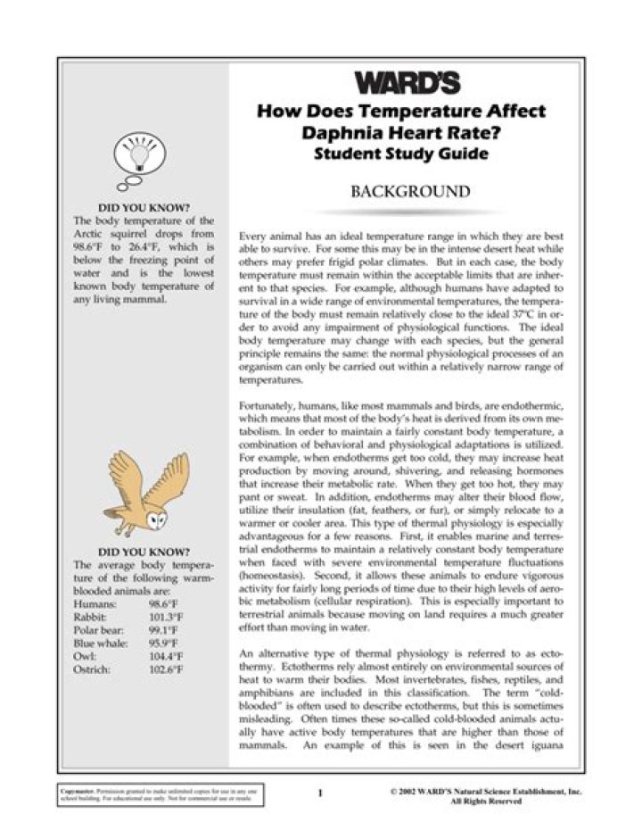 How does temperature affect Daphnia heart rate