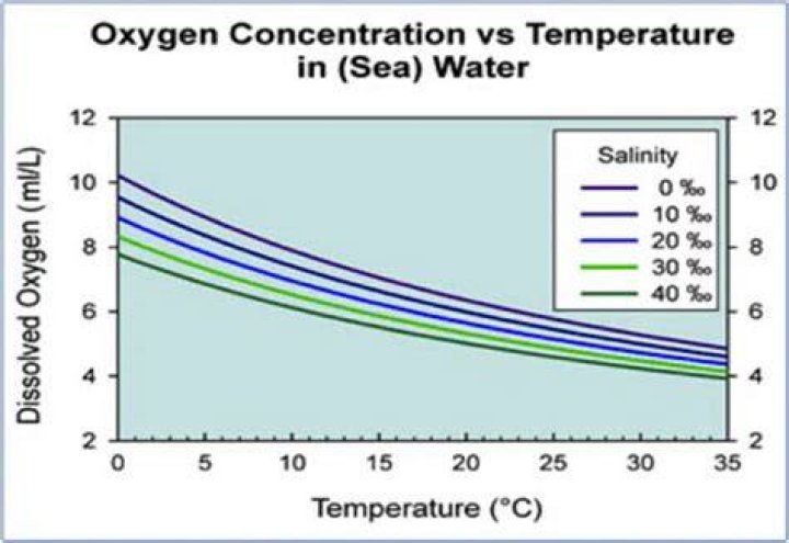 How does temperature affect dissolved oxygen