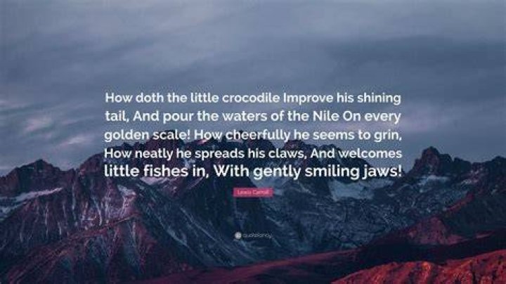 How does the little crocodile improve