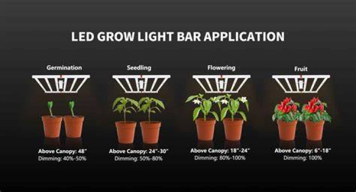 How far should 600w light be from plants