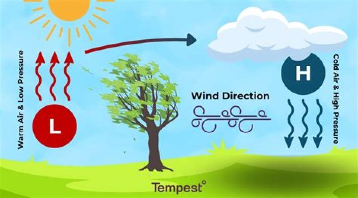 How fast is the wind moving