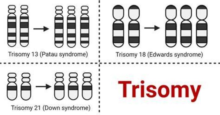 How is a Trisomy produced