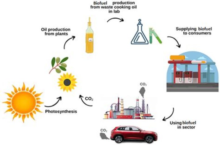 How is biodiesel synthesized