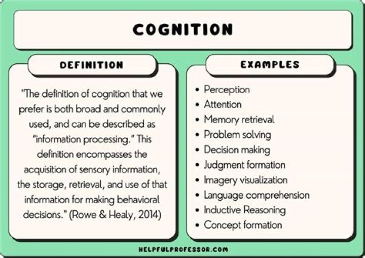 How is cognition best defined