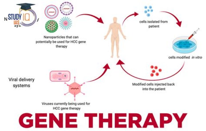 How is germline gene therapy done