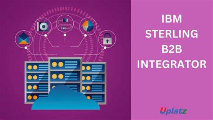 How is IBM structured