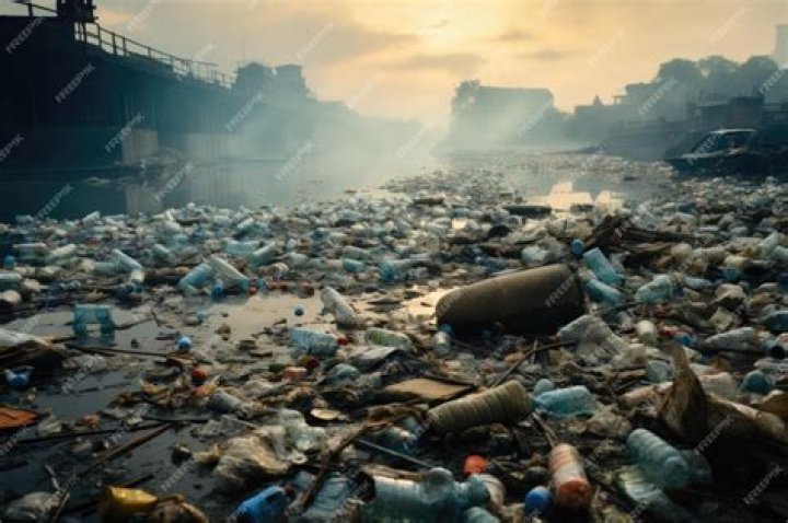 How is pollution bad for the environment