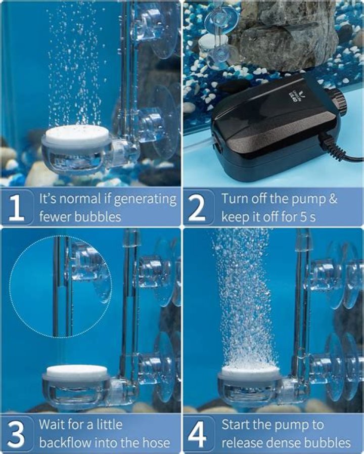 How long does an air stone last