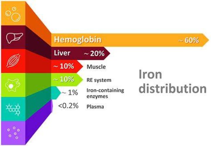 How long does iron filter media last
