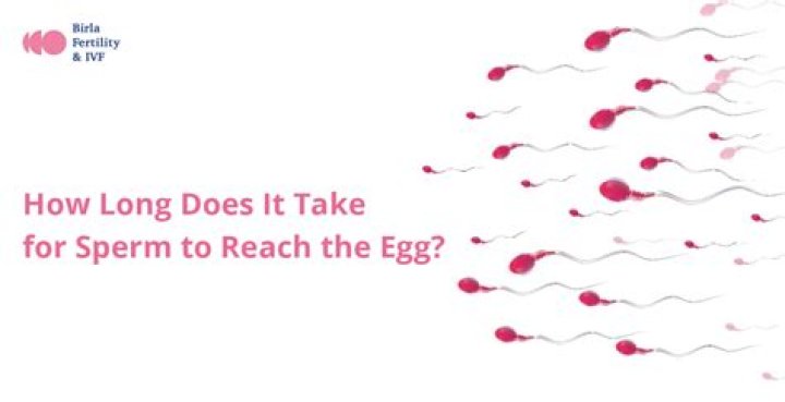How long does it take for koi to lay eggs