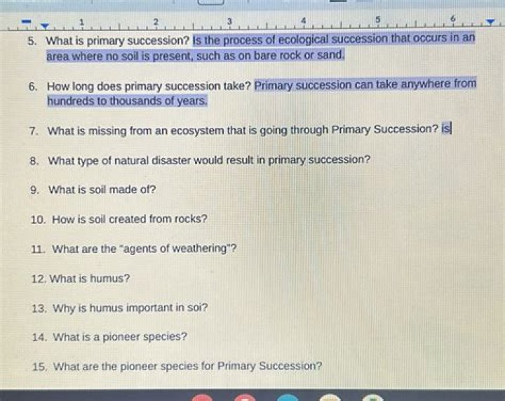 How long does primary succession take