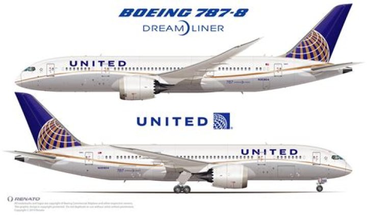 How many 787 Does United have