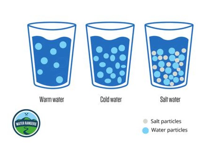 How many phases does salt water have