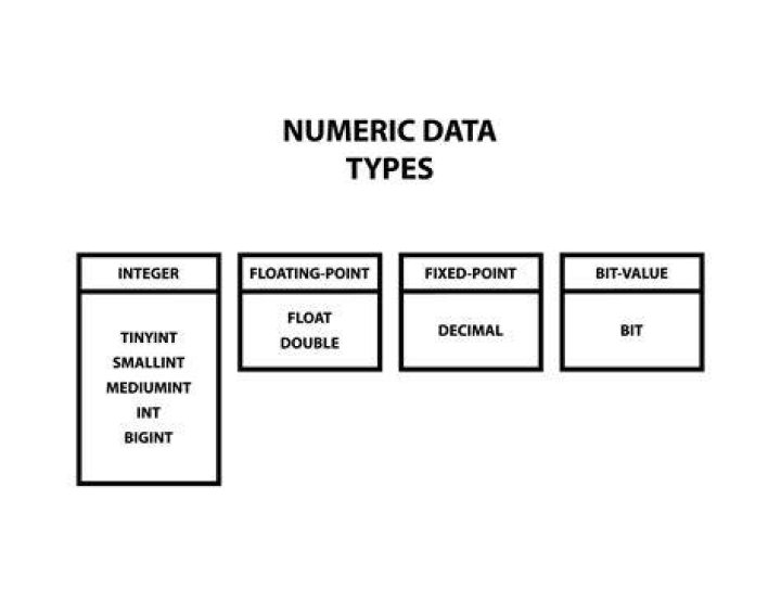 How many types of numeric data are there
