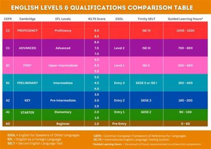 How many Wida levels are there