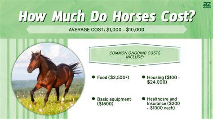 How much do boat engines cost