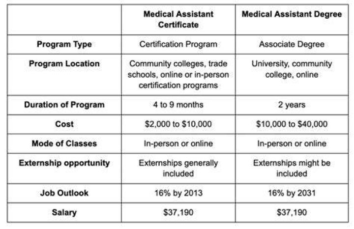 How much do certified medical interpreters make