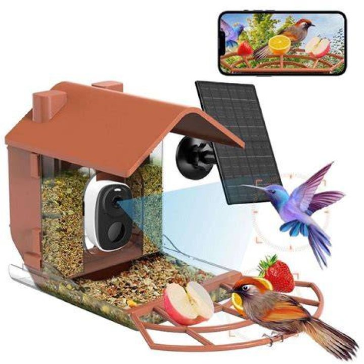 How much do wild birds eat