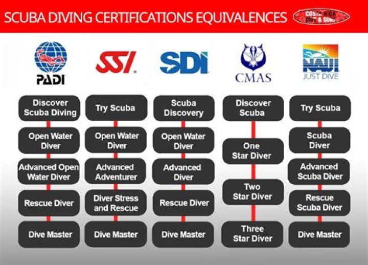 How much do you tip a divemaster