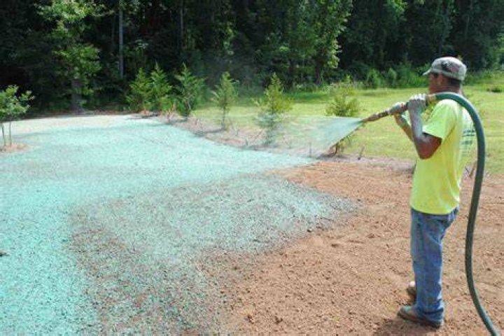 How much does it cost to spray grass