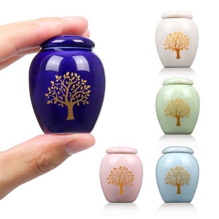 How much is a urn for ashes