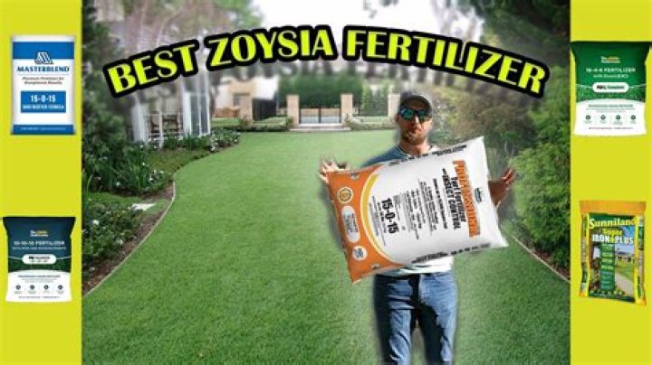 How much is grass fertilizer