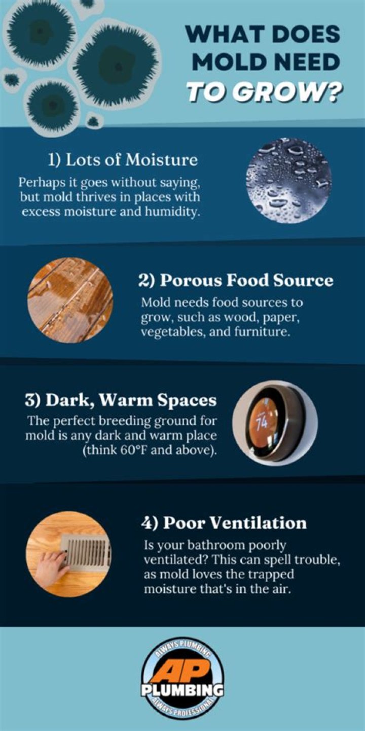 How much moisture does mold need