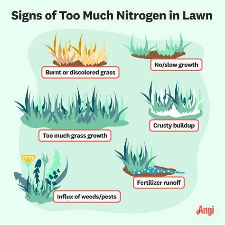 How much nitrogen is too much for lawn